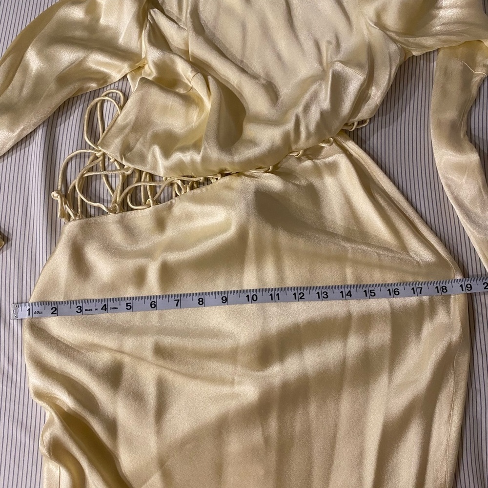 SHONA JOY BUTTER YELLOW ARIENZO ASSYMETRICAL
LONG SLEEVE GOWN MAXI DRESS SIZE 2 - Picture 13 of 14